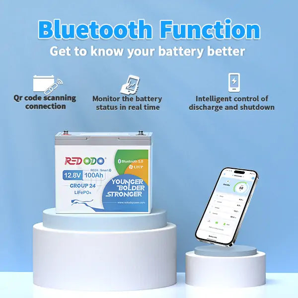 group 24 lithium battery with bluetooth