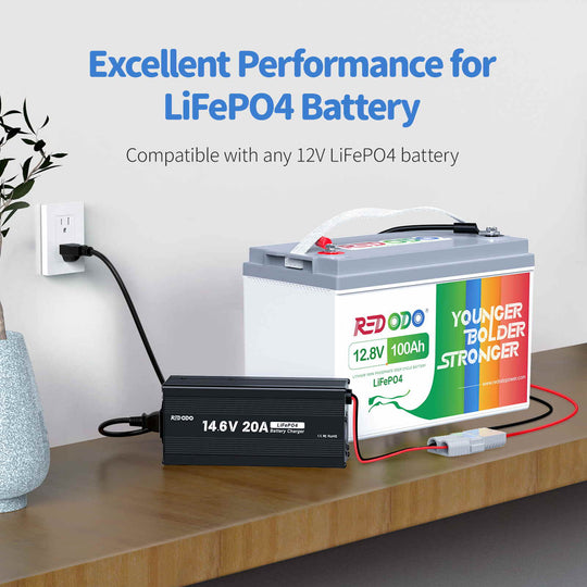 Lithium LiFePO4 Battery Charger