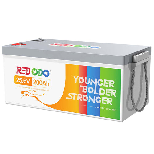 Redodo 24V 200Ah LiFePO4 Battery | 5.12kWh & 5.12kW